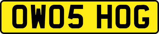 OW05HOG