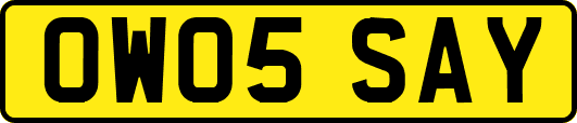 OW05SAY