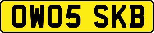 OW05SKB