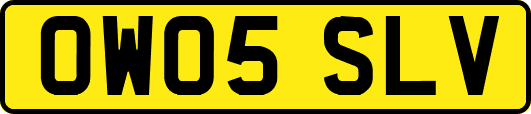 OW05SLV