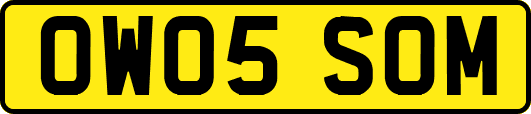 OW05SOM