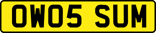 OW05SUM