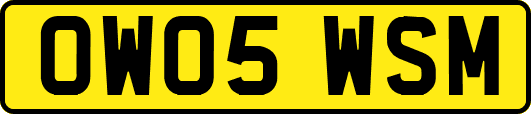 OW05WSM