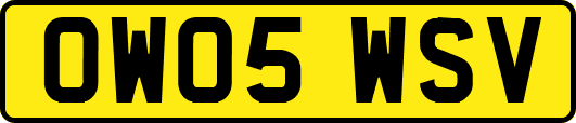 OW05WSV