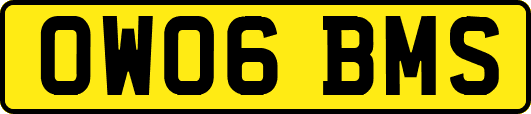 OW06BMS