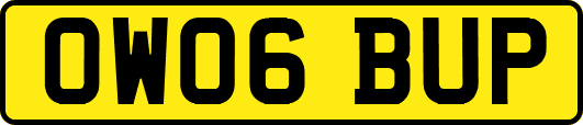 OW06BUP