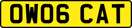 OW06CAT
