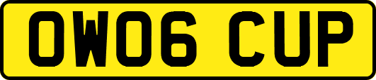 OW06CUP