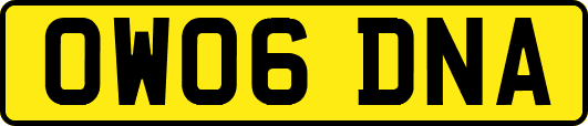 OW06DNA