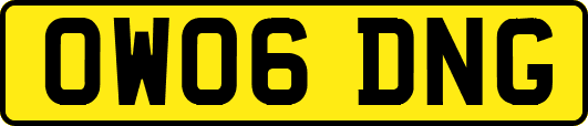 OW06DNG