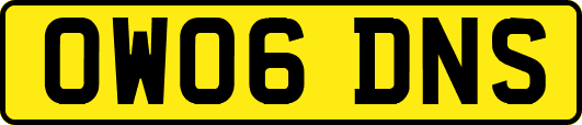 OW06DNS