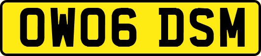 OW06DSM
