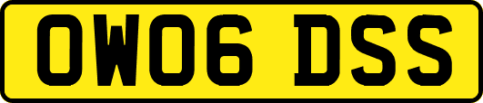 OW06DSS