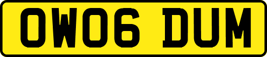 OW06DUM