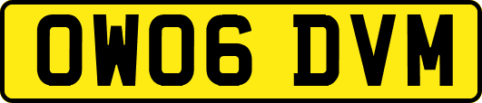 OW06DVM