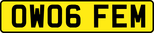 OW06FEM