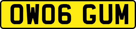 OW06GUM
