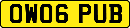 OW06PUB