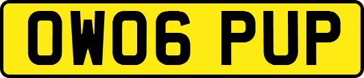 OW06PUP