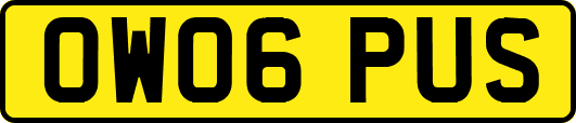OW06PUS