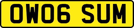 OW06SUM