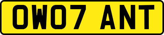 OW07ANT