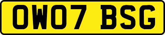 OW07BSG