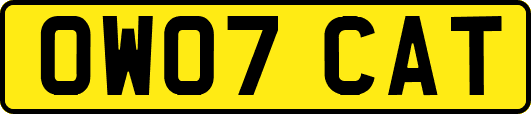 OW07CAT