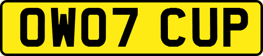 OW07CUP