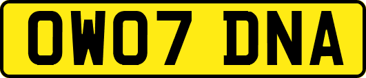 OW07DNA