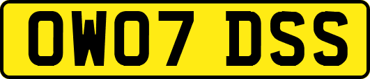 OW07DSS