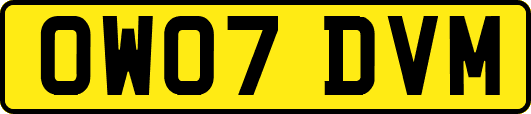 OW07DVM