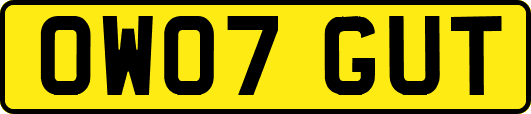 OW07GUT