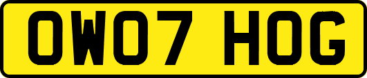 OW07HOG