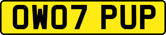 OW07PUP