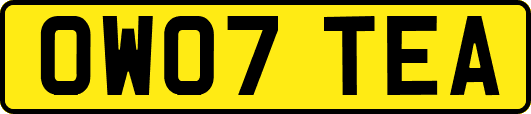 OW07TEA