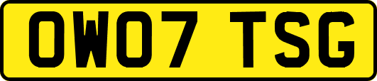 OW07TSG