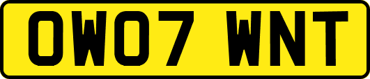 OW07WNT