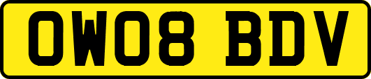 OW08BDV