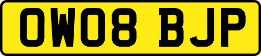 OW08BJP
