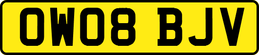 OW08BJV