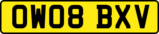 OW08BXV