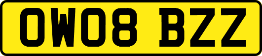 OW08BZZ