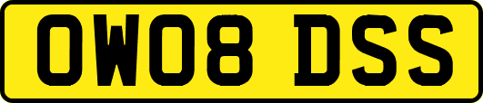 OW08DSS