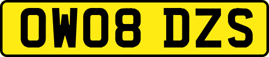 OW08DZS