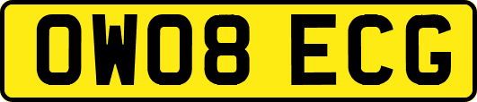OW08ECG
