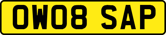 OW08SAP