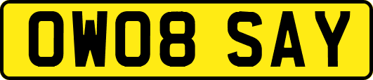 OW08SAY