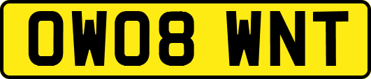 OW08WNT