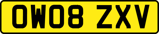 OW08ZXV